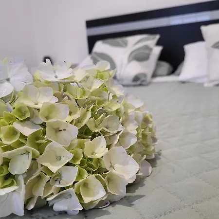 Apartament Azores Village